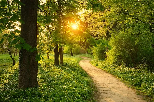 camino de santiago